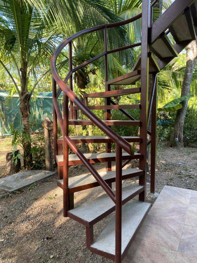 Jazlyn Lodge & Tours Paquera Esterno foto
