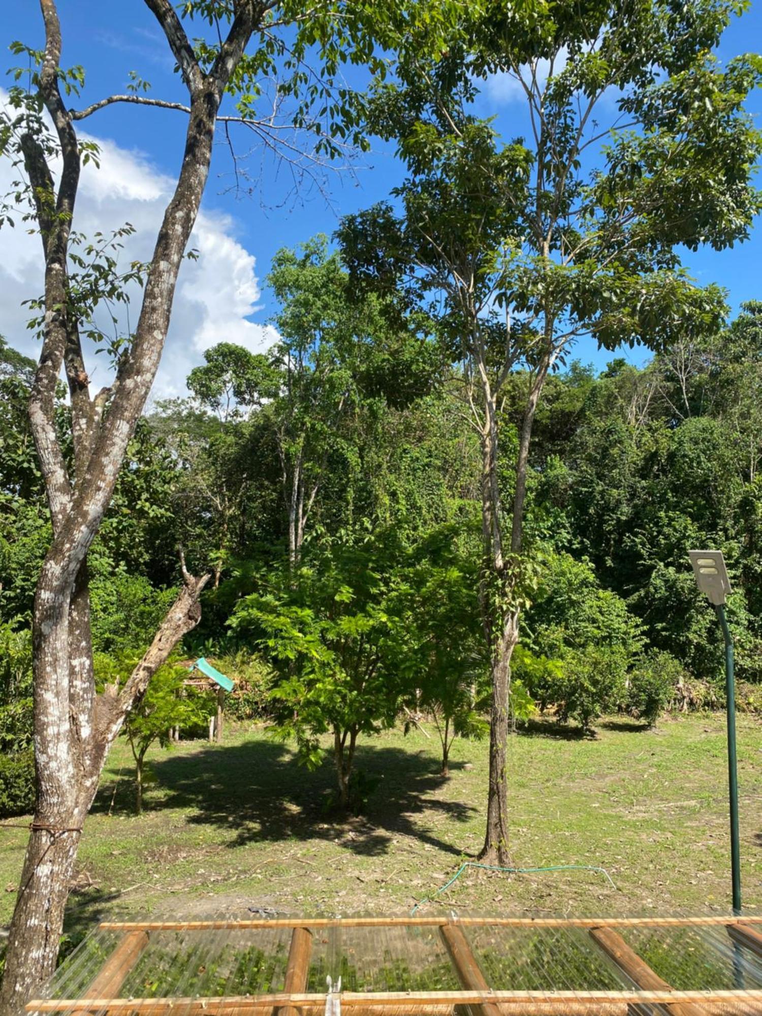 Jazlyn Lodge & Tours Paquera Esterno foto