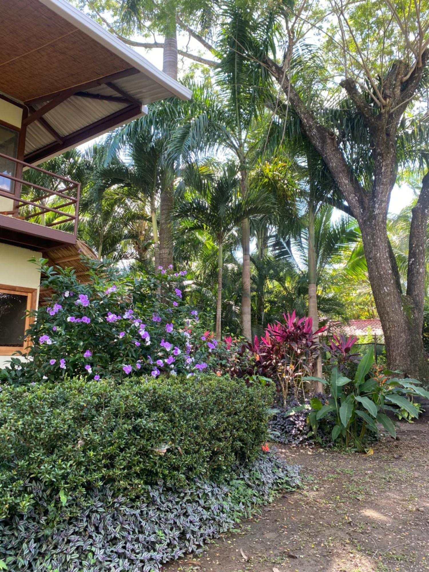 Jazlyn Lodge & Tours Paquera Esterno foto