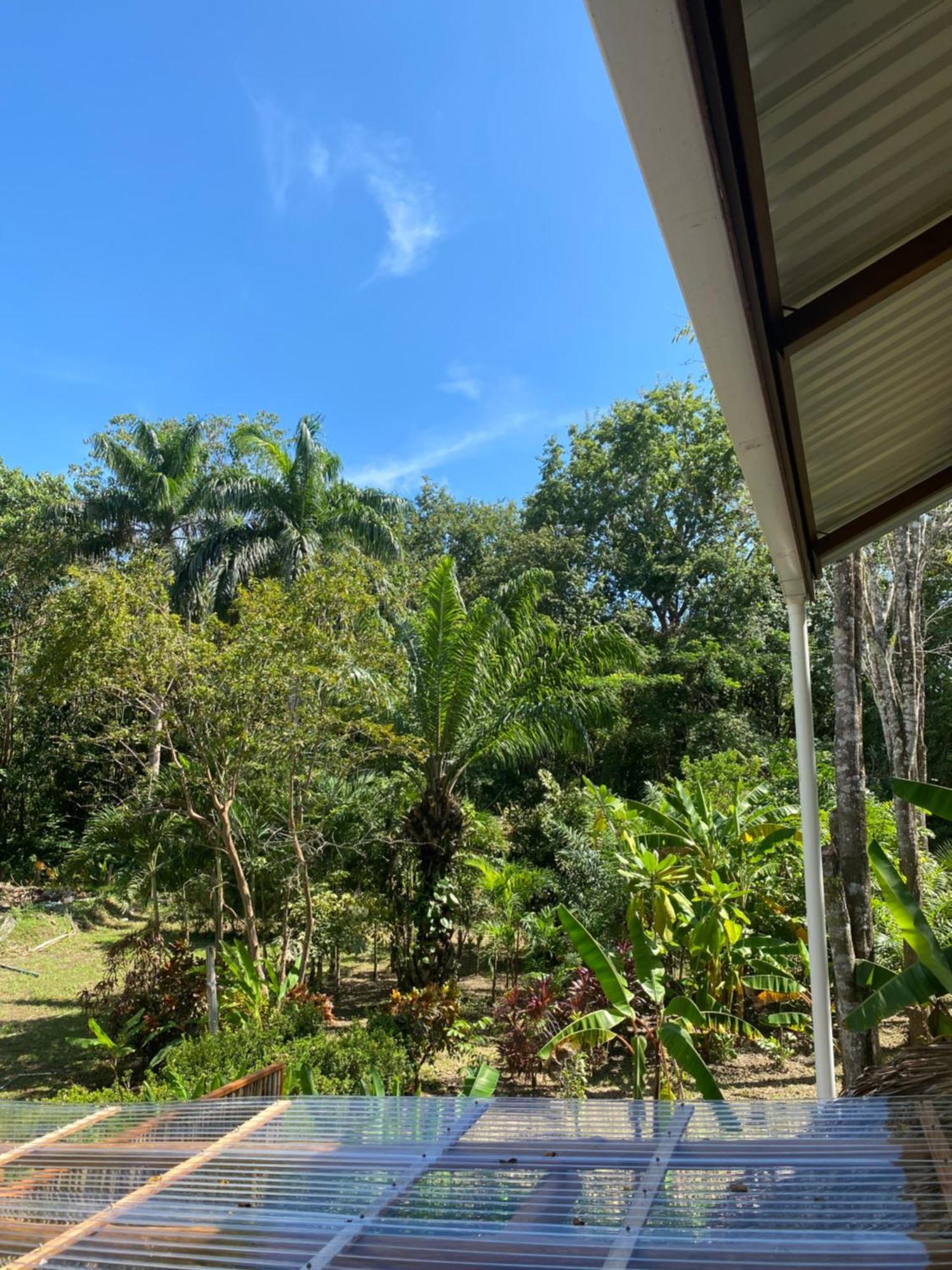 Jazlyn Lodge & Tours Paquera Esterno foto